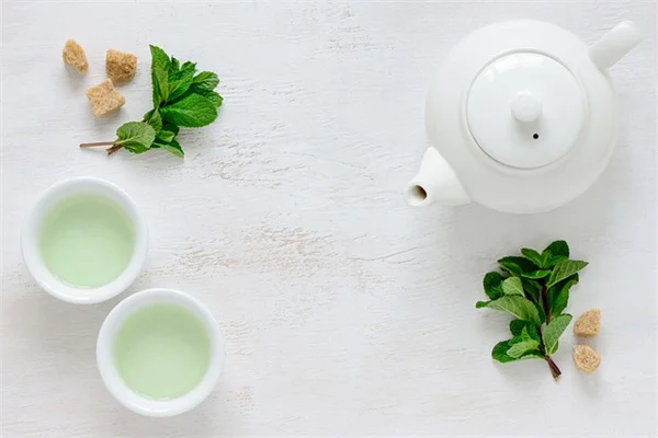 今すぐ準備を！庭を襲う新たな害虫5種と実践的対策