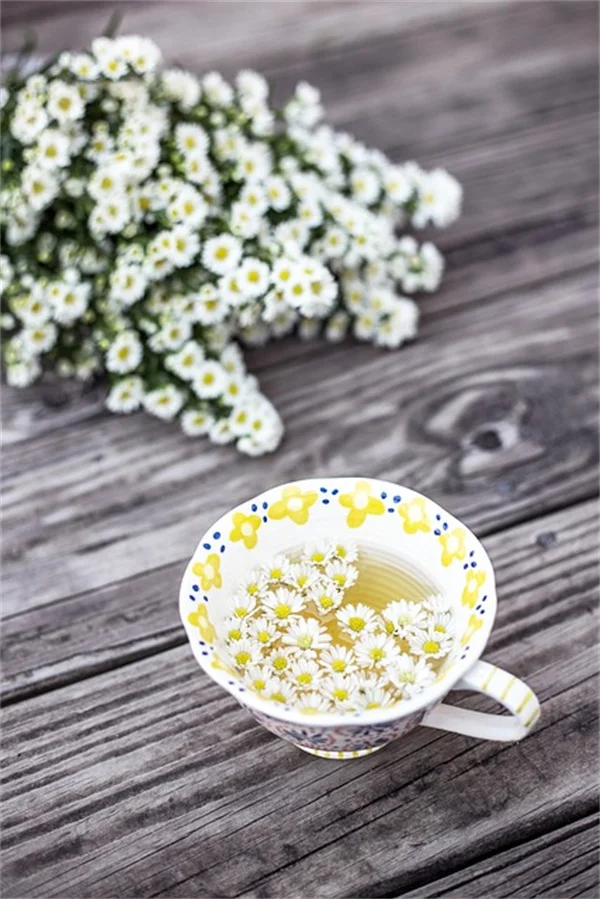 ブルーベリーソッドの驚きの簡単さ！芝生代わりに敷くだけの裏技
